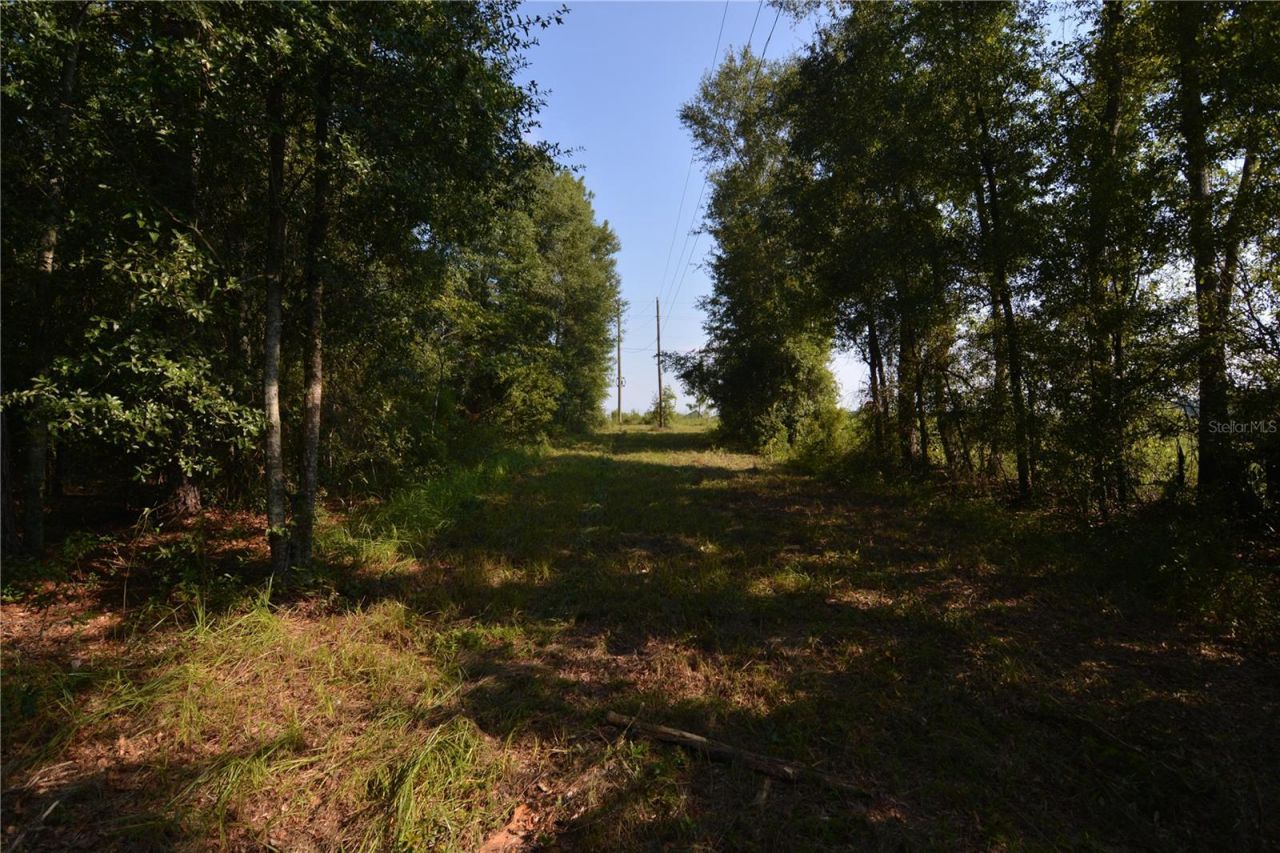 00 SW 39th Ave , Jasper, FL 32052 Photo