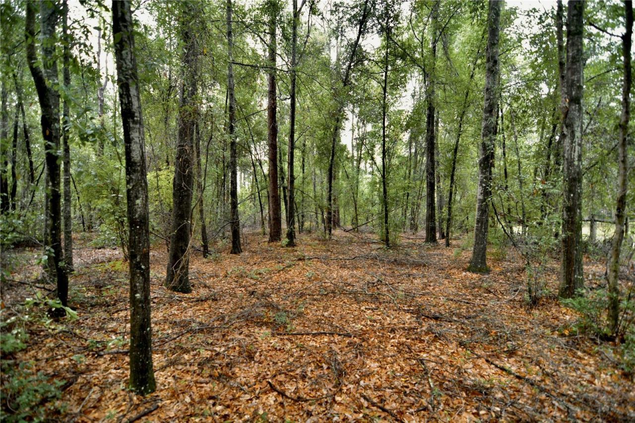 00 SW 39th Ave , Jasper, FL 32052 Photo