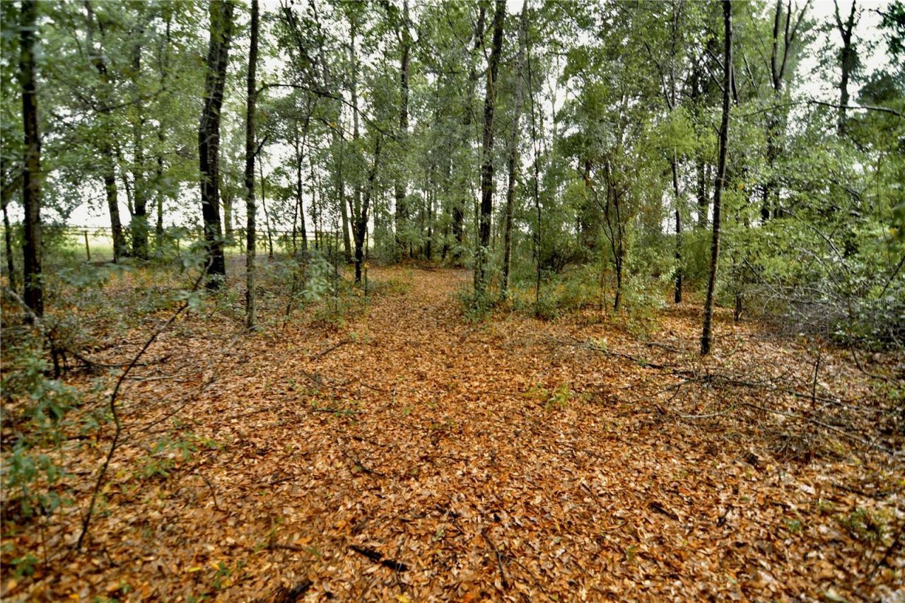 00 SW 39th Ave , Jasper, FL 32052 Photo