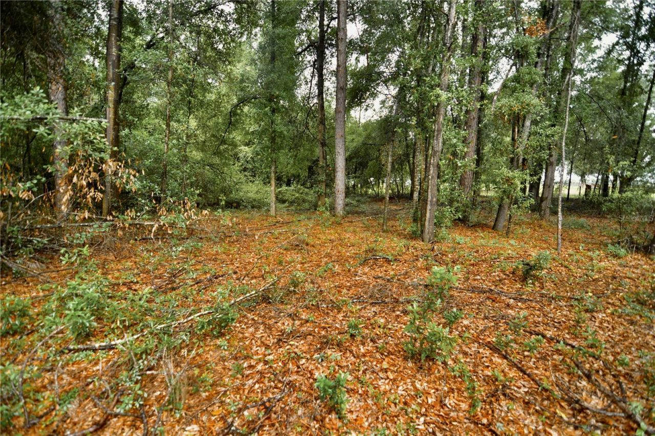 00 SW 39th Ave , Jasper, FL 32052 Photo