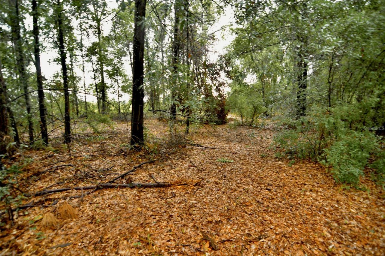 00 SW 39th Ave , Jasper, FL 32052 Photo