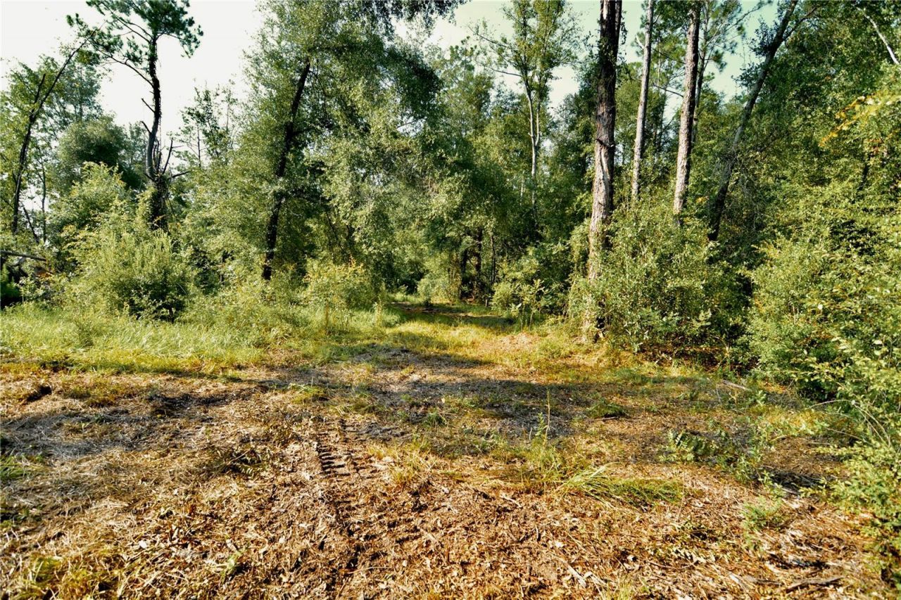 00 SW 39th Ave , Jasper, FL 32052 Photo