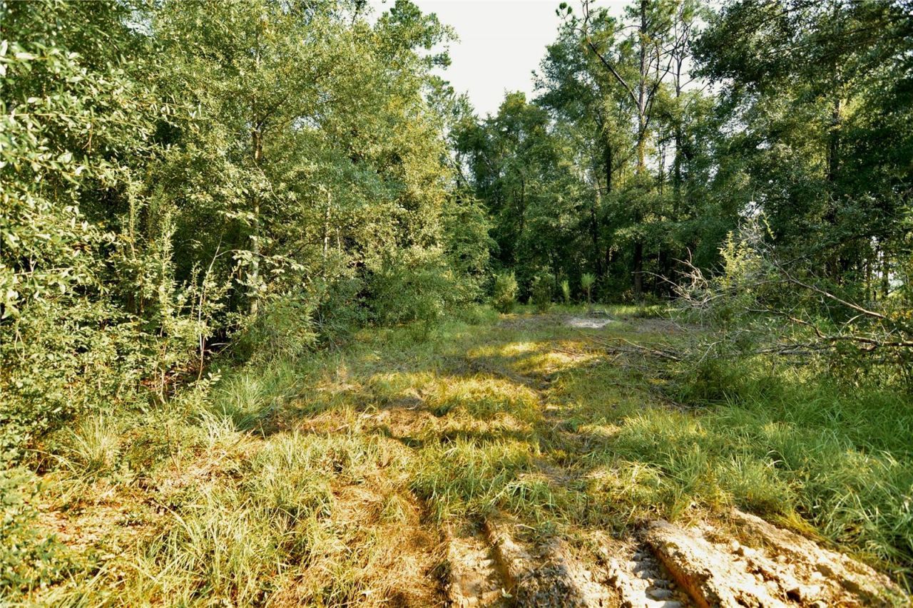 00 SW 39th Ave , Jasper, FL 32052 Photo