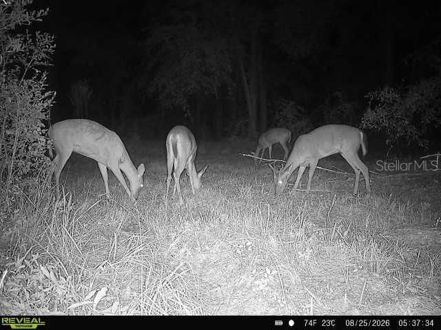 00 SW 39th Ave , Jasper, FL 32052 Photo