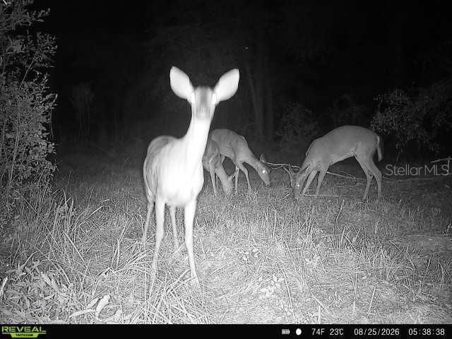 00 SW 39th Ave , Jasper, FL 32052 Photo