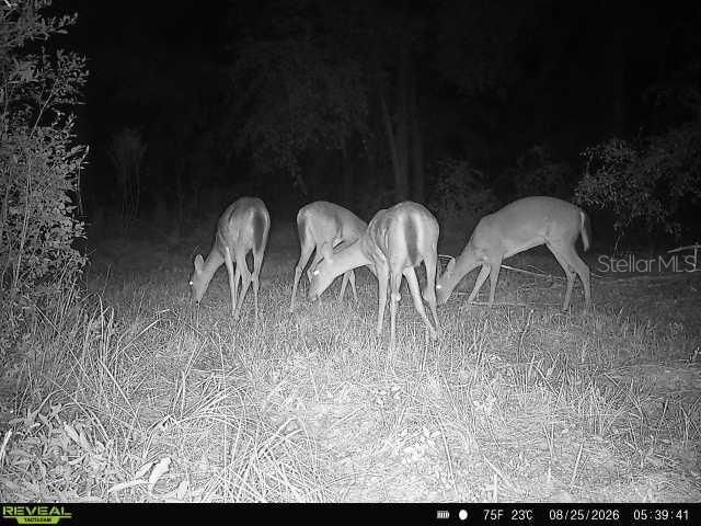 00 SW 39th Ave , Jasper, FL 32052 Photo