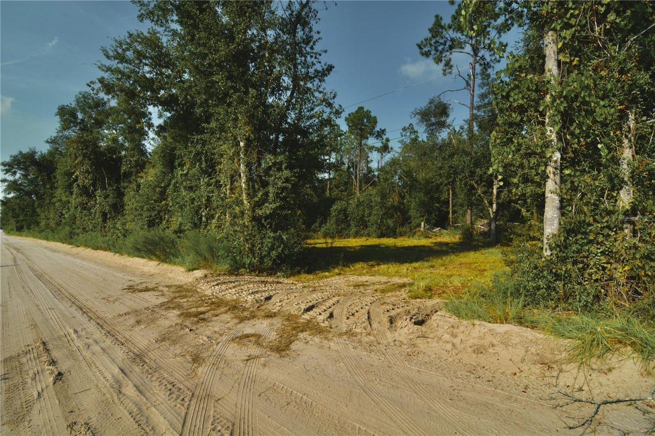 00 SW 39th Ave , Jasper, FL 32052 Photo