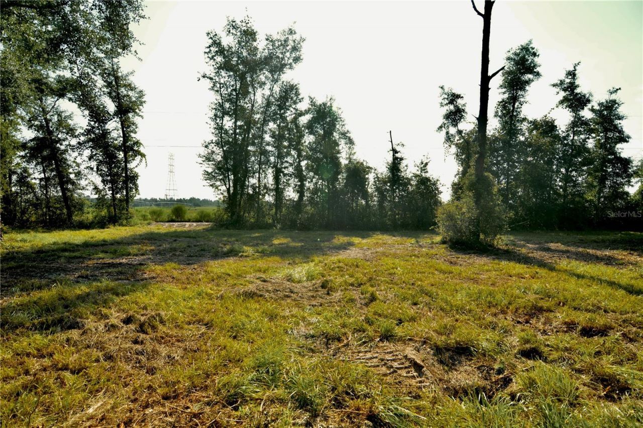 00 SW 39th Ave , Jasper, FL 32052 Photo