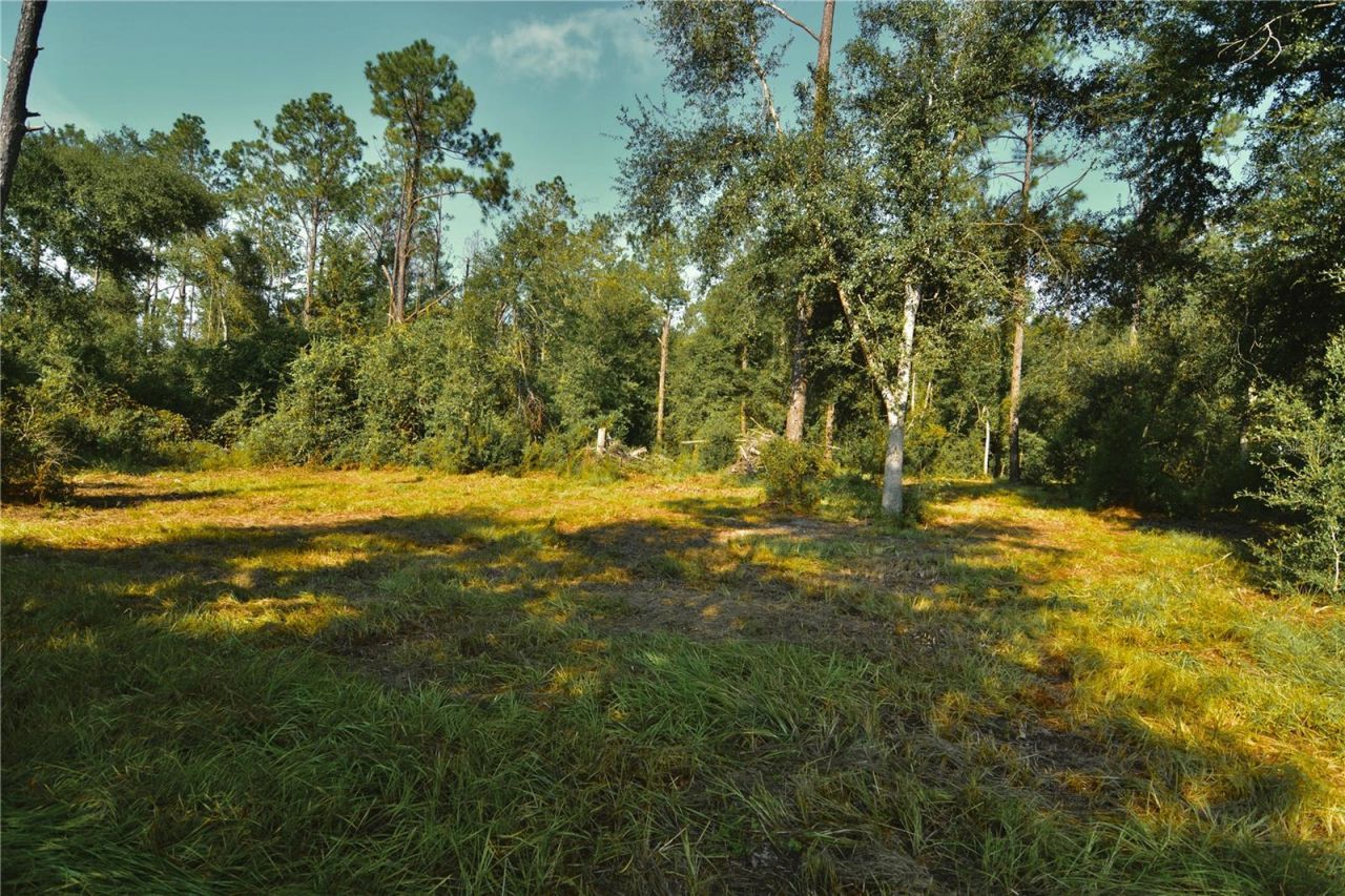 00 SW 39th Ave , Jasper, FL 32052 Photo