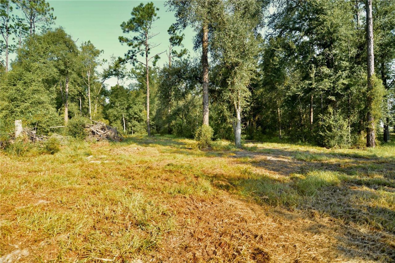 00 SW 39th Ave , Jasper, FL 32052 Photo
