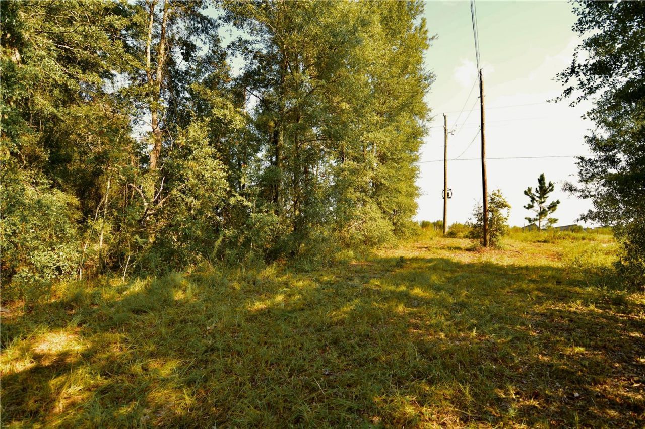 00 SW 39th Ave , Jasper, FL 32052 Photo