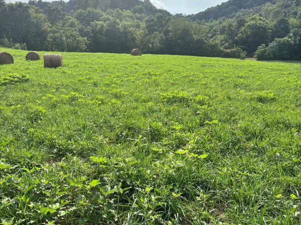 Lot 1 McBride Road, Morristown, TN 37814