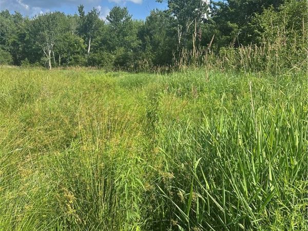Lot 173.-3-7 Guinea Road , Gilboa, NY 12076