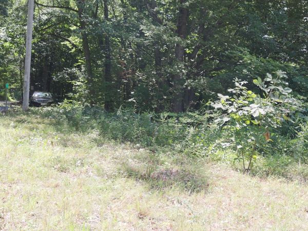 51-53 Harrison Ave, Auburn, MA 01501