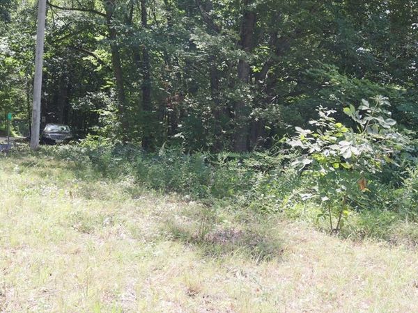 51-53 Harrison Ave, Auburn, MA 01501