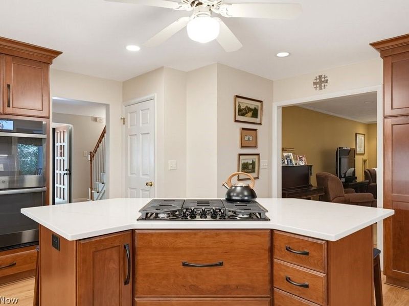 257 Woodridge Road, Tallmadge, OH 44278 Photo 18