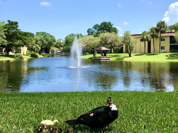 830 SW 9th Street Circle, Unit APT 201, Boca Raton, FL 33486
