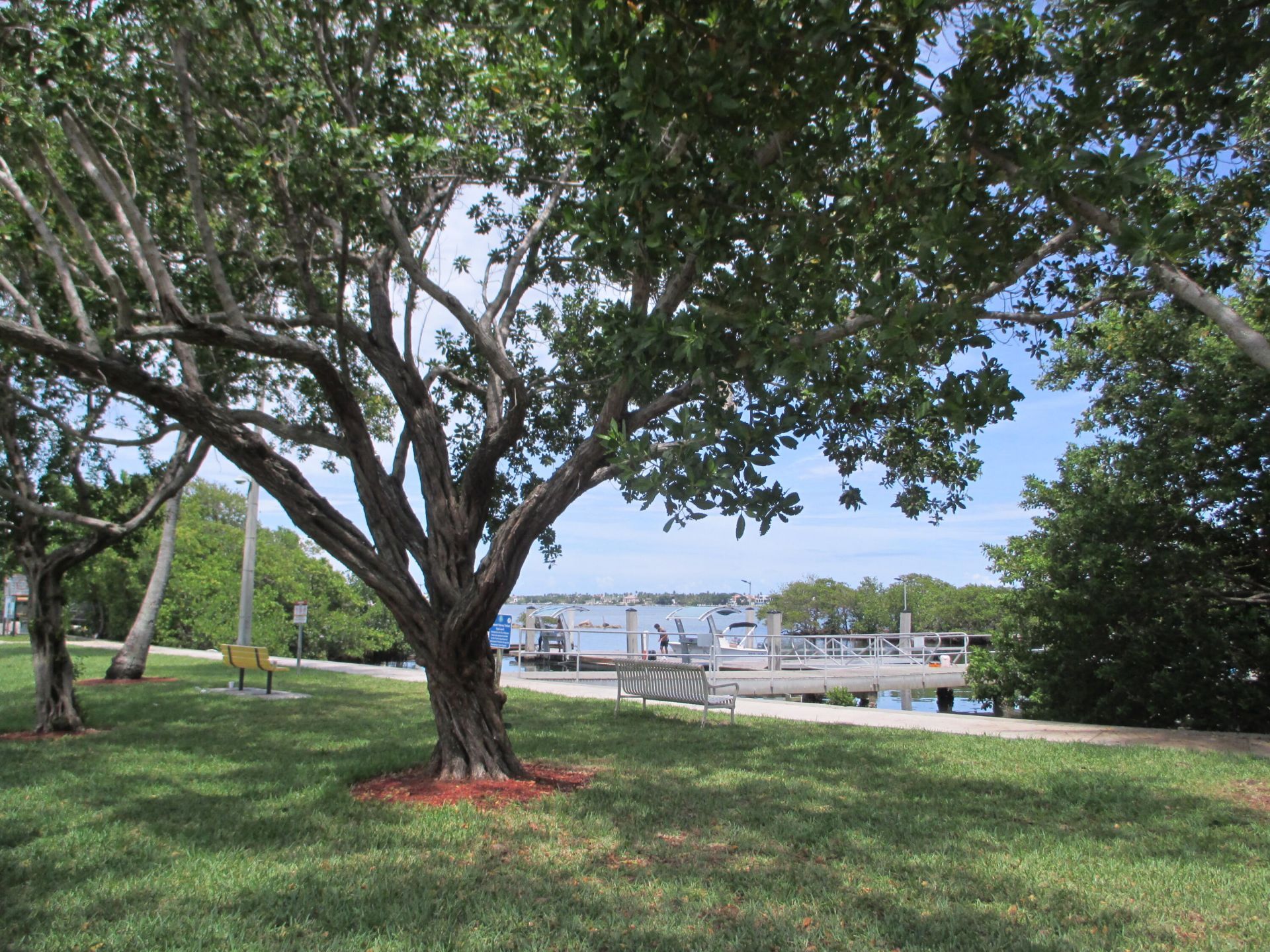 1437 Princeton Lane, Boynton Beach, FL 33426 Photo