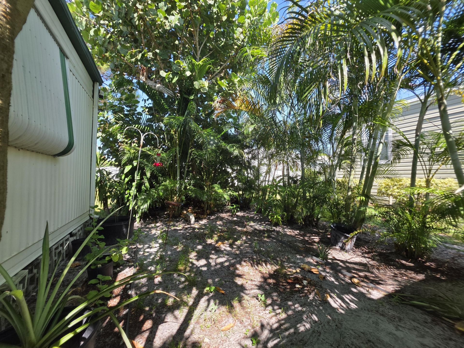 6125 N Guava Lane, Atlantis, FL 33462 Photo
