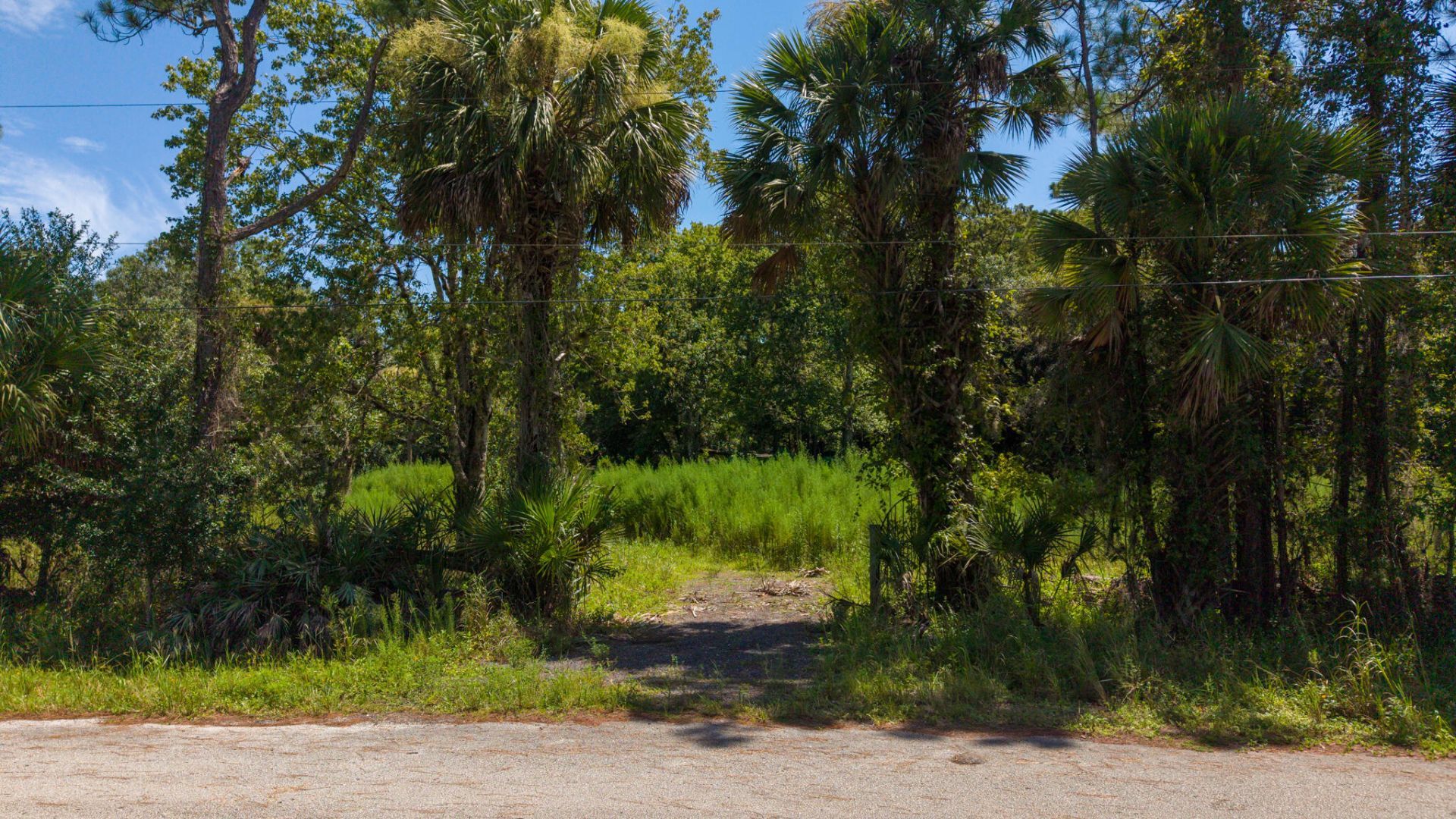 1220 NE 342nd Trail Ne, Okeechobee, FL 34972 Main Photo
