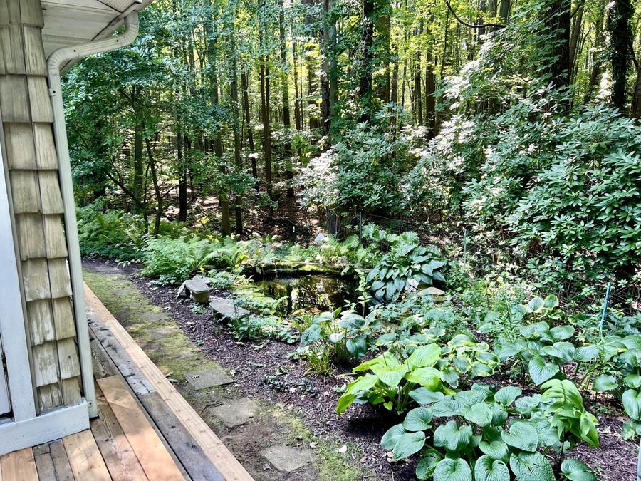 Property Image 43