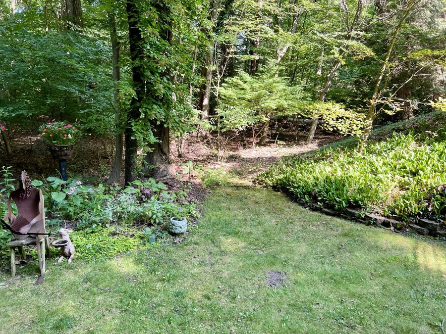 Property Image 51