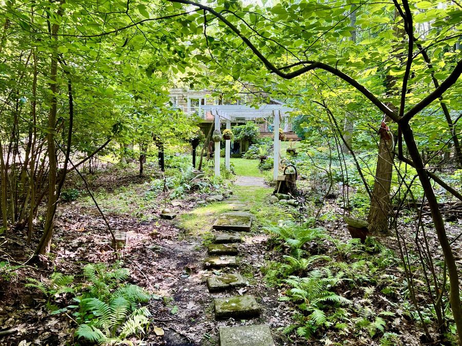 Property Image 58
