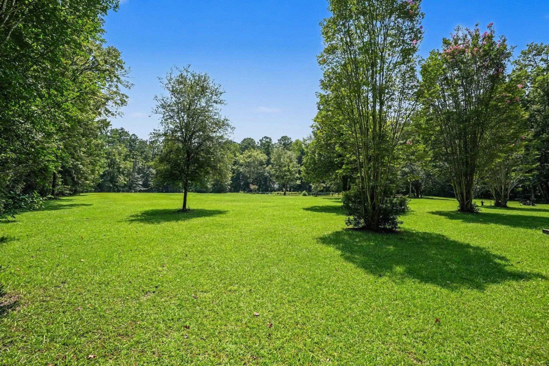3750 Highway 813 Photo 8