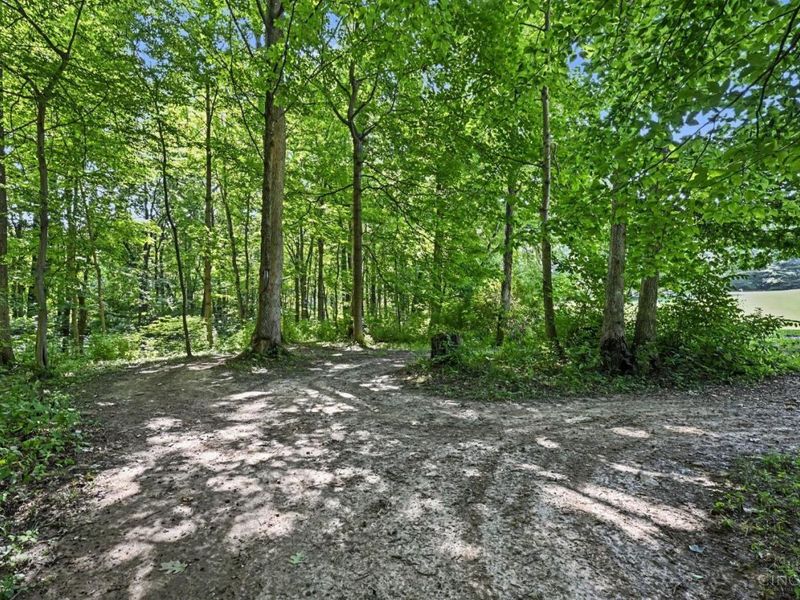 924 Oxford Middletown Road, Milford Township, OH 45013 Photo 26