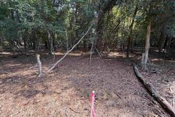 2361 Shedrick Street  photo 4