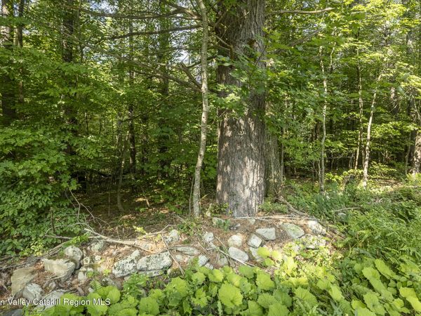 0 Old Gale Hill Road Road, East Chatham, NY 12060