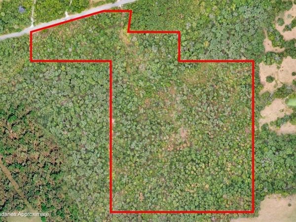 48.77 Acres Hwy 45 , Hindsville, AR 72738