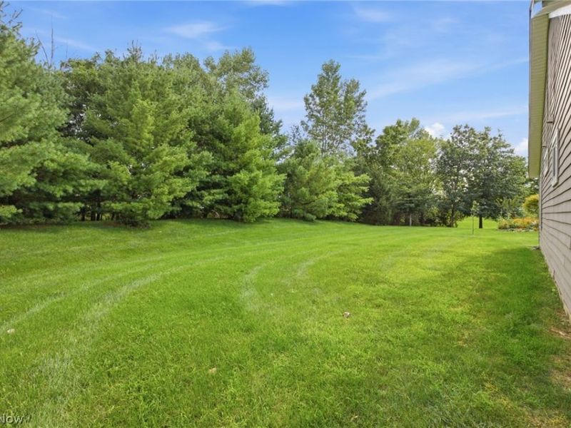 4973 Kennebank Lane, Medina, OH 44256 Photo 17