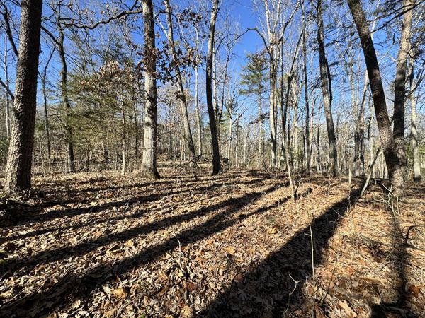 0 Timber Ridge , Buchanan, VA 24066