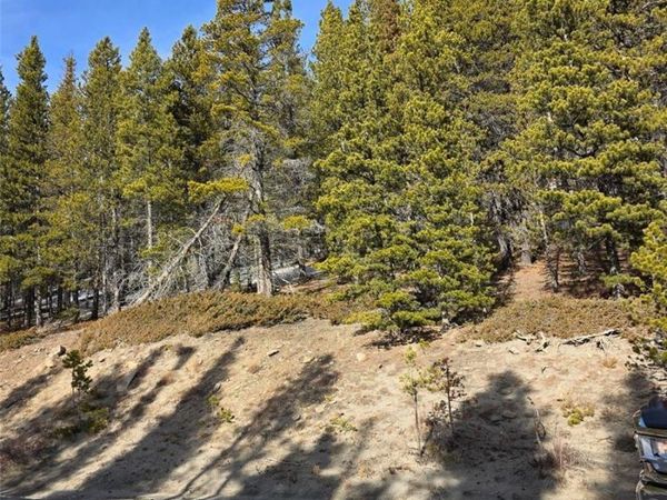 Lot 680 Alice Road, Idaho Springs, CO 80453