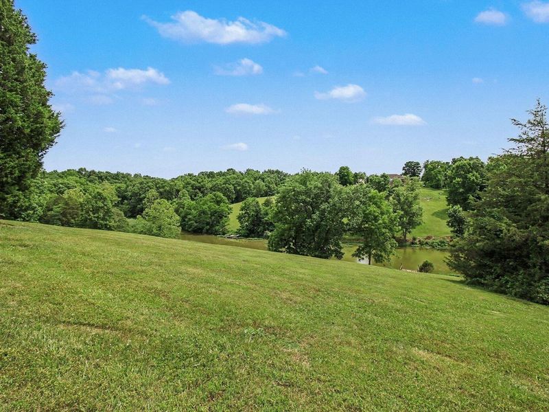 302 Bullock Pen Drive, Crittenden, KY 41030 Photo 41