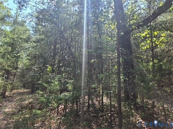 000 Miller Camp Road , Buckingham, VA 23921