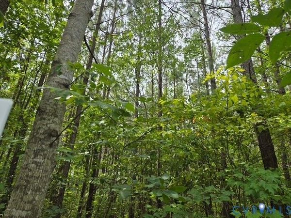 000 Miller Camp Road, Buckingham, VA 23921