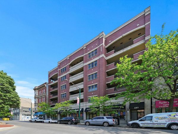 437 W North Avenue , Unit 202, Chicago, IL 60610