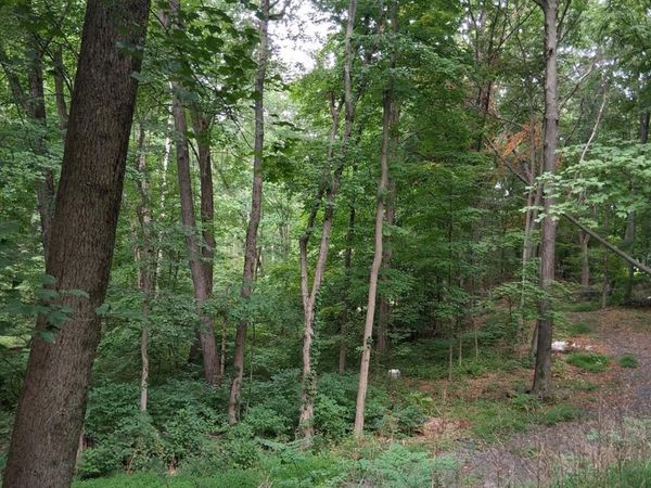 Museum Village Road, Monroe, NY 10914