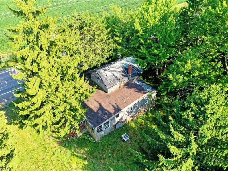3779 State Route 7, Fowler, OH 44404 Photo 12