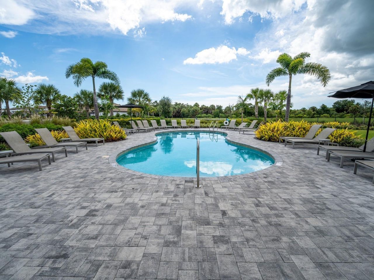 8504 Snowfall Street, Sarasota, FL 34241 Photo