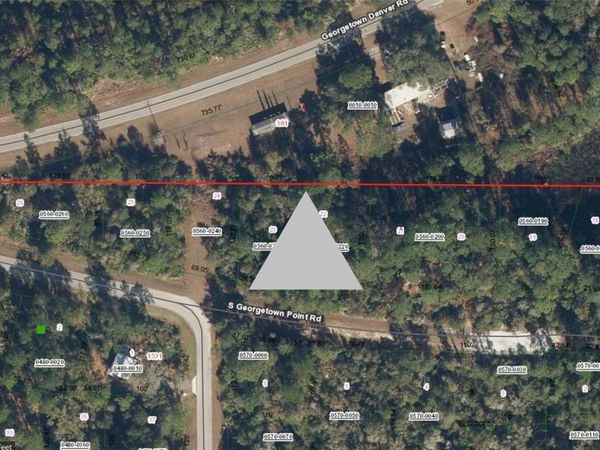 116 S GEORGETOWN POINT ROAD , GEORGETOWN, FL 32139