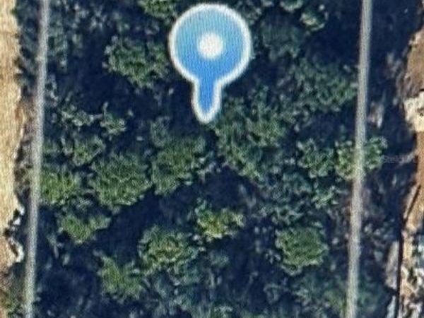 SW 146TH PLACE , OCALA, FL 34473