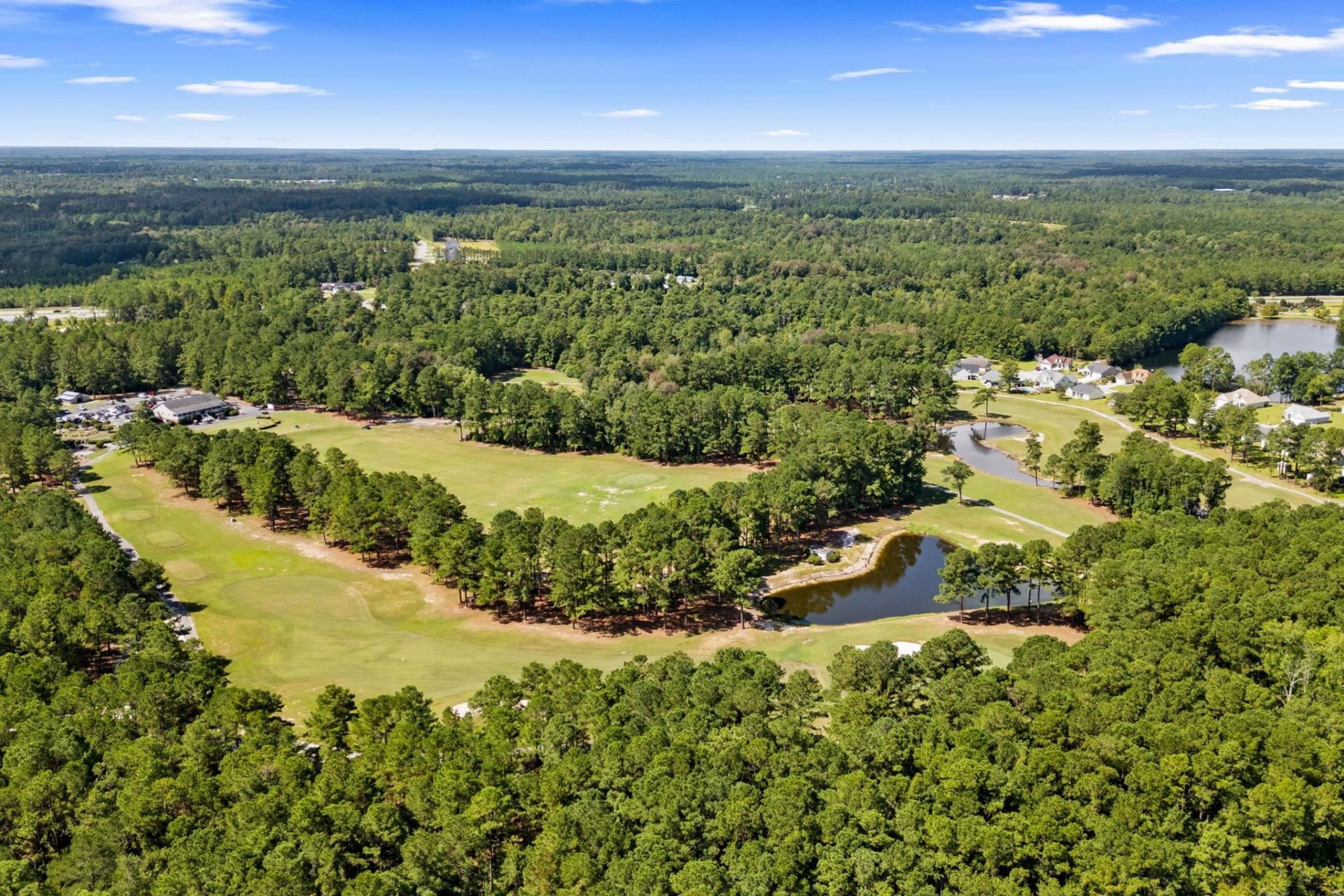 800 Stone Pine Ct.  Photo 59