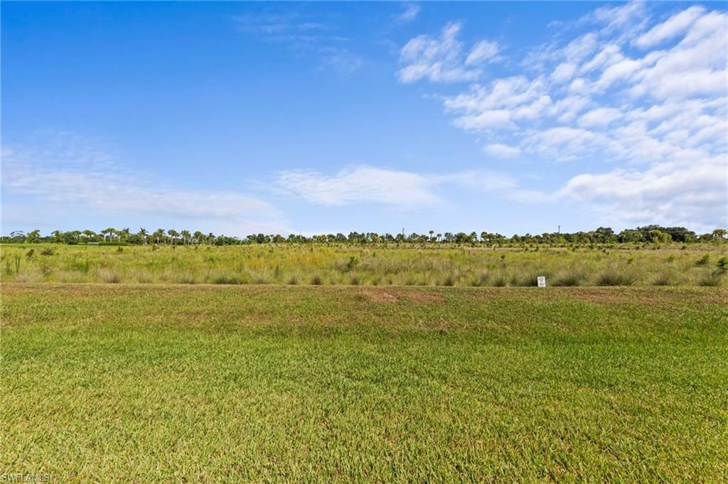 19512 Hinkley Dr, Estero, FL 33928 Photo