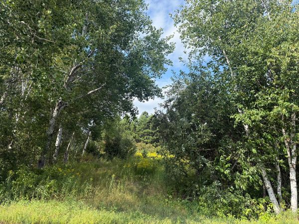 5 Evelyn Street , Esko, MN 55733