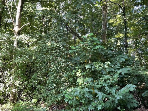 4013 Eagles Nest Drive, Morristown, TN 37813