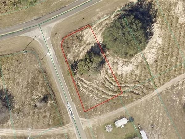 9037-1217-14 SE 113 Street RD , OCKLAWAHA, FL 32179