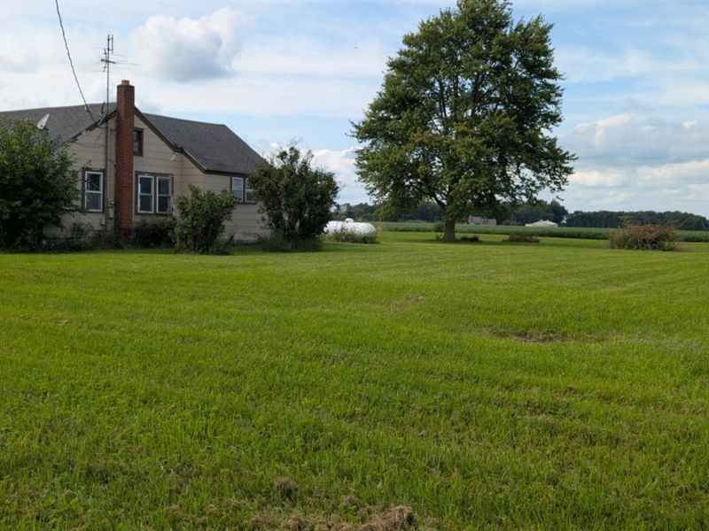 9280 Cygnet Rd., Cygnet, OH 43413 Photo 2